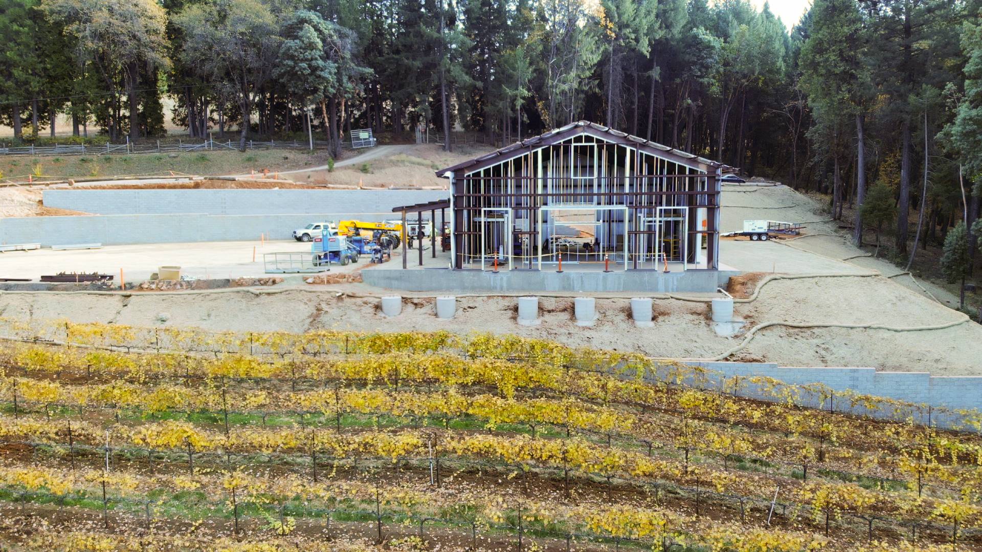 Delfino Farms Winery & Tasting Room