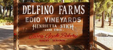 Delfino Farms Winery & Tasting Room